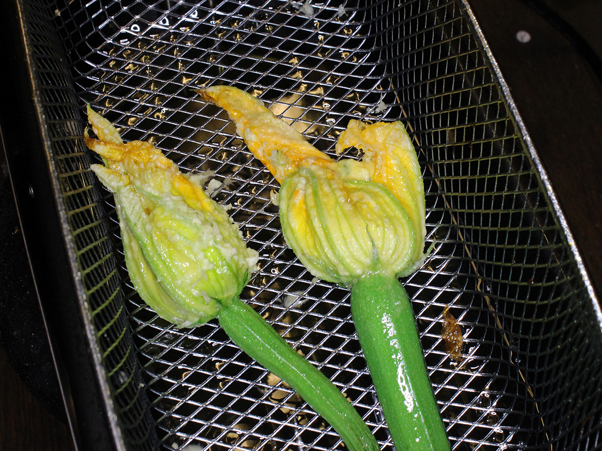 Fiori di zucca ripieni (gevulde courgettebloemen)